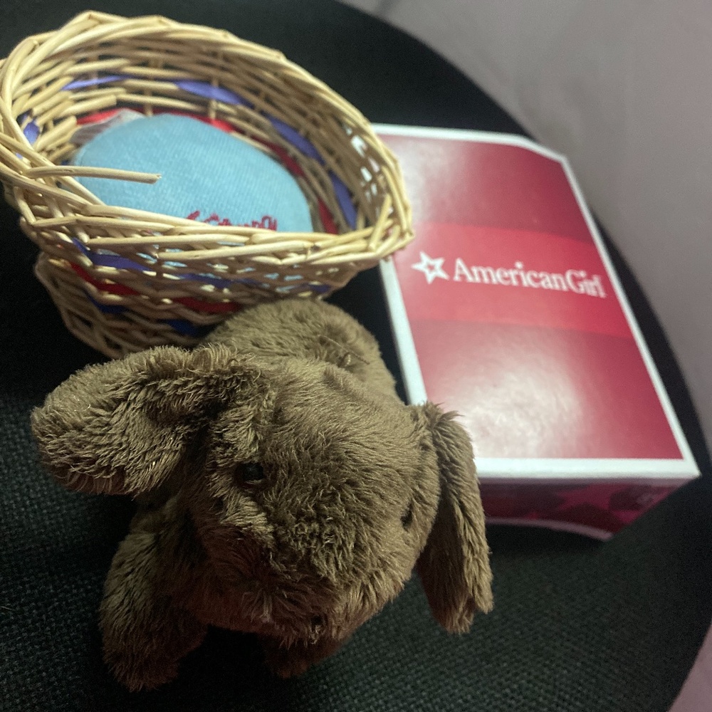 American Girl Doll Julie’s Pet Bunny Nutmeg with Bed & carrot